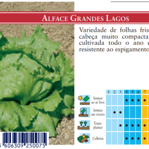 Semente Alface Grandes Lagos