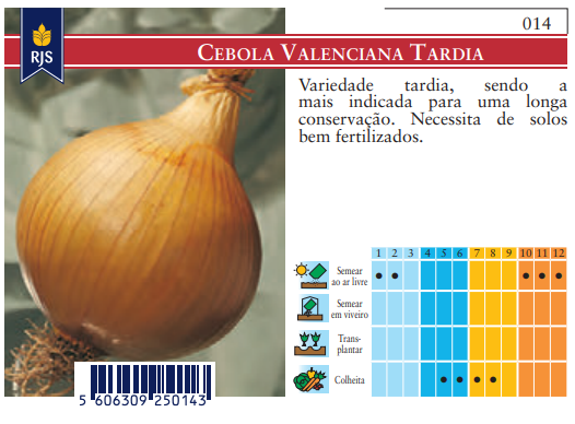 Semente Cebola Valenciana Tardia