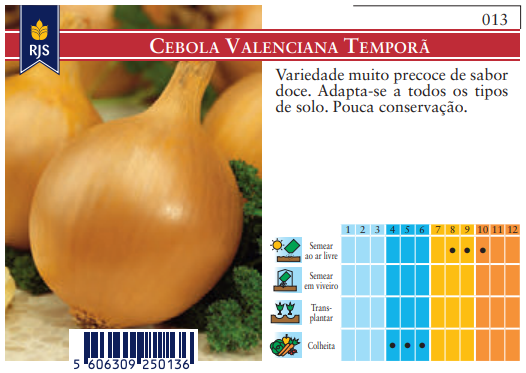 Semente Cebola Valenciana Temporã