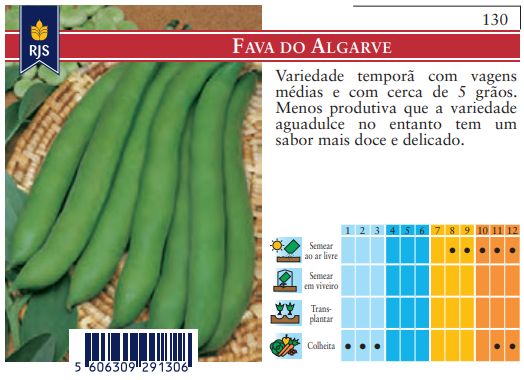 Semente Fava Algarve