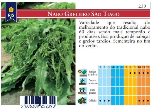 Semente Nabo Greleiro Santiago