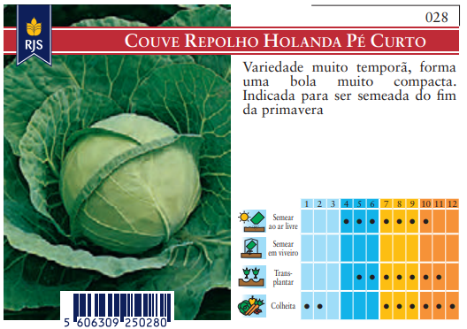 Semente Holanda Pé Curto